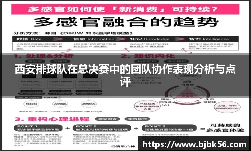 西安排球队在总决赛中的团队协作表现分析与点评